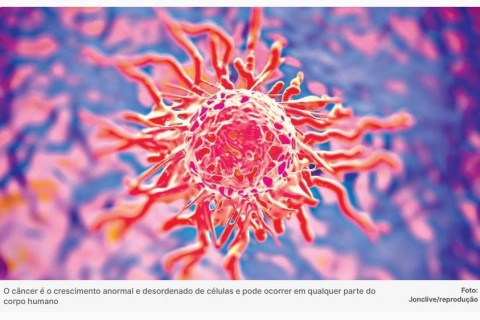 Bactérias 'escondidas' dentro de tumores podem ajudar a combater o câncer, revela estudo